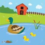 Ducklings