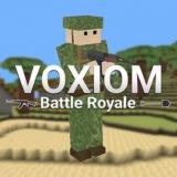 Voxiom.io